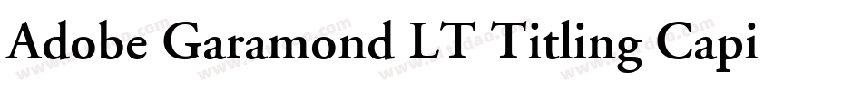 Adobe Garamond LT Titling Capitals字体转换